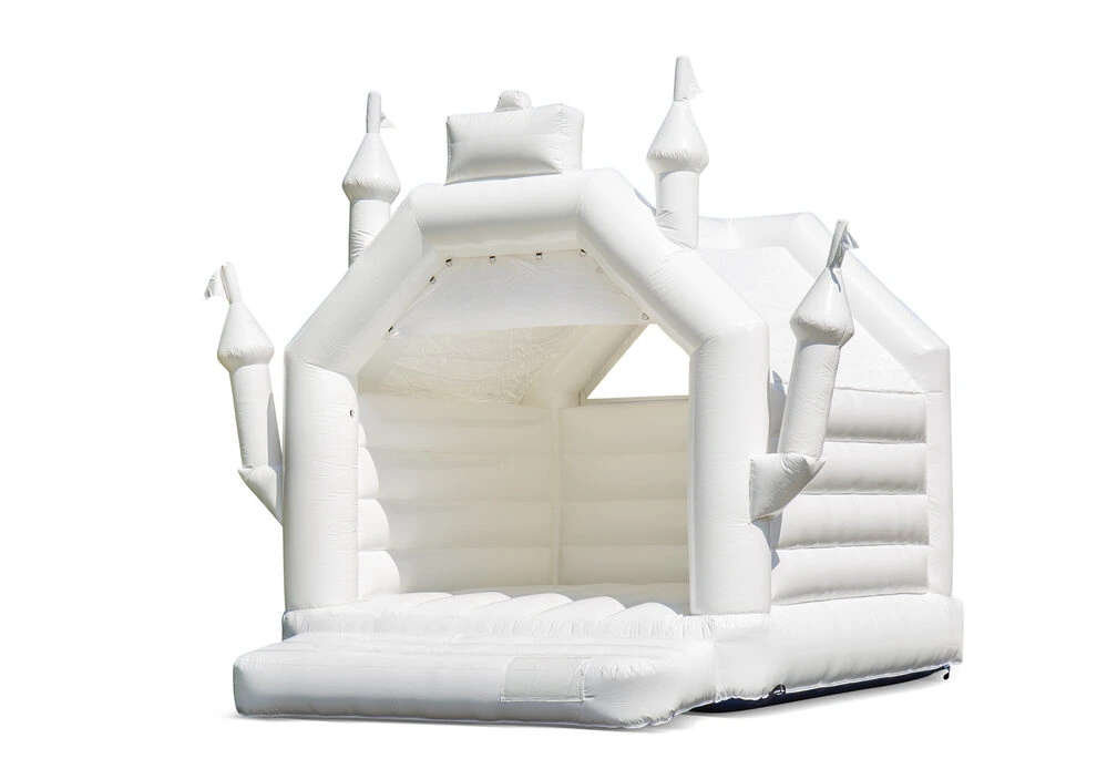 Kasteel Wit Vrijstaand